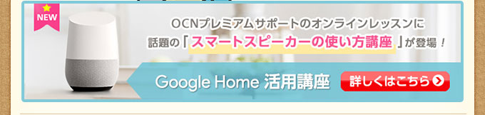 Google Homepu