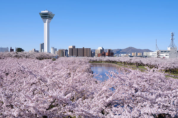 五稜郭公園