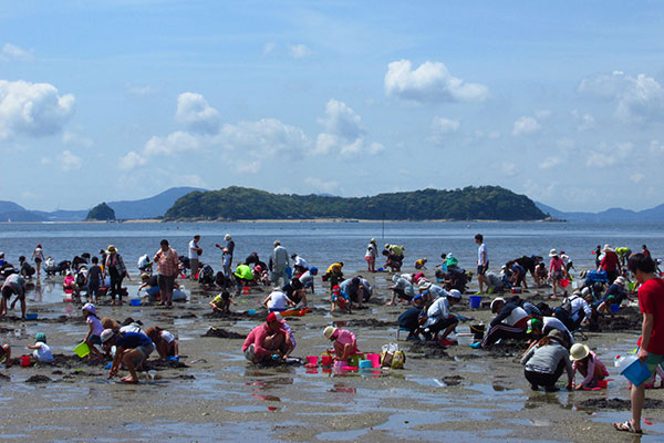 海岸潮干狩り