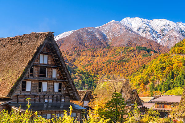 紅葉と合掌造り集落