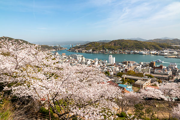 千光寺公園の桜としまなみ街道