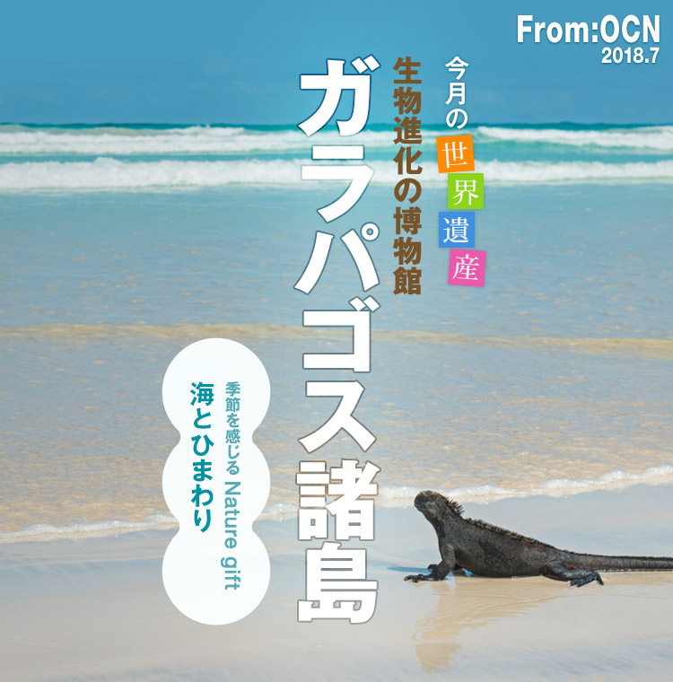 From:OCN 2018.7　今月の世界遺産　生物進化の博物館　ガラパゴス諸島　季節を感じる Nature gift　海とひまわり