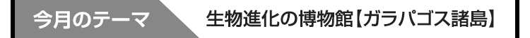 今月のテーマ　繁栄と破壊を経た微笑みに出会う【古都アユタヤ】