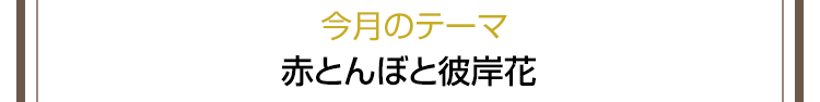 今月のテーマ　赤とんぼと彼岸花