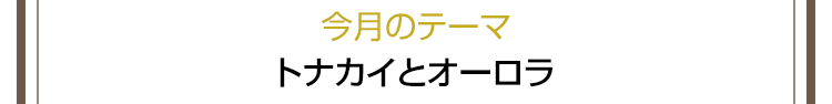 今月のテーマ　トナカイとオーロラ