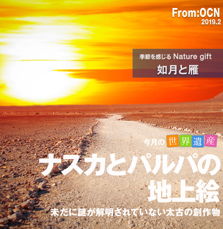 Ocn Fromocnバックナンバー