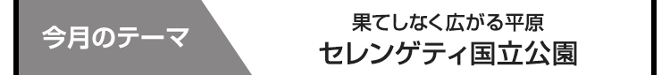 今月のテーマ　セレンゲティ国立公園