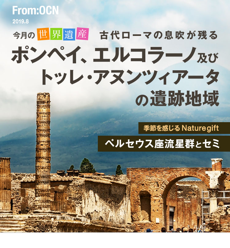 From:OCN 2019.8　今月の世界遺産　古代ローマの息吹が残る ポンペイ、エルコラーノ及びトッレ・アヌンツィアータの遺跡地域　季節を感じる Nature gift　ペルセウス座流星群とセミ