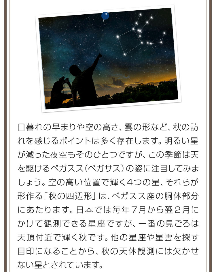 日暮れの早まりや 空の高さ、雲の形など、秋の訪れを感じるポイントは多く存在します。明るい星が減った夜空もそのひとつですが、この季節は天を駆けるペガスス（ペガサス）の姿に注目してみましょう。空の高い位置で輝く４つの星、それらが形作る「秋の四辺形」は、ぺガスス座の胴体部分にあたります。日本では毎年７月から翌２月にかけて観測できる星座ですが、一番の見ごろは天頂付近で輝く秋です。他の星座や星雲を探す目印になることから、秋の天体観測には欠かせない星とされています。