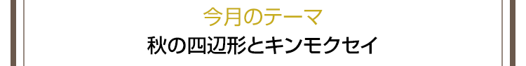 今月のテーマ 秋の四辺形とキンモクセイ