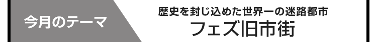 今月のテーマ：歴史を封じ込めた世界一の迷路都市 フェズ旧市街