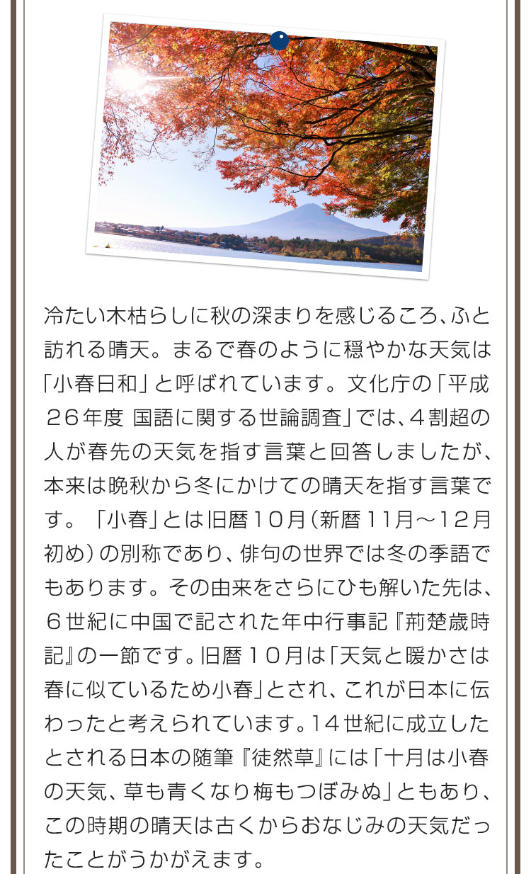 冷たい木枯らしに秋の深まりを感じるころ、ふと訪れる晴天。まるで春のように穏やかな天気は「小春日和」と呼ばれています。文化庁の「平成２６年度 国語に関する世論調査」では、４割超の人が春先の天気を指す言葉と回答しましたが、本来は晩秋から冬にかけての晴天を指す言葉です。「小春」とは旧暦１０月（新暦１１月～１２月初め）の別称であり、俳句の世界では冬の季語でもあります。その由来をさらにひも解いた先は、６世紀に中国で記された年中行事記『荊楚歳時記』の一節です。旧暦１０月は「天気と暖かさは春に似ているため小春」とされ、これが日本に伝わったと考えられています。１４世紀に成立したとされる日本の随筆『徒然草』には「十月は小春の天気、草も青くなり梅もつぼみぬ」ともあり、この時期の晴天は古くからおなじみの天気だったことがうかがえます。