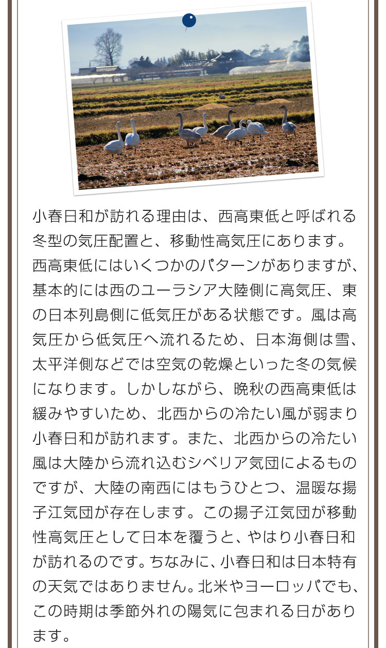 小春日和が訪れる理由は、西高東低と呼ばれる冬型の気圧配置と、移動性高気圧にあります。西高東低にはいくつかのパターンがありますが、基本的には西のユーラシア大陸側に高気圧、東の日本列島側に低気圧がある状態です。風は高気圧から低気圧へ流れるため、日本海側は雪、太平洋側などでは空気の乾燥といった冬の気候になります。しかしながら、晩秋の西高東低は緩みやすいため、北西からの冷たい風が弱まり小春日和が訪れます。また、北西からの冷たい風は大陸から流れ込むシベリア気団によるものですが、大陸の南西にはもうひとつ、温暖な揚子江気団が存在します。この揚子江気団が移動性高気圧として日本を覆うと、やはり小春日和が訪れるのです。ちなみに、小春日和は日本特有の天気ではありません。北米やヨーロッパでも、この時期は季節外れの陽気に包まれる日があります。