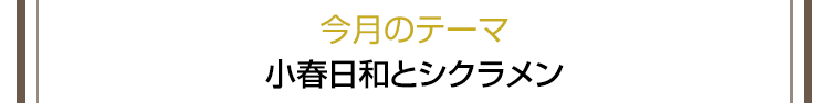 今月のテーマ 小春日和とシクラメン