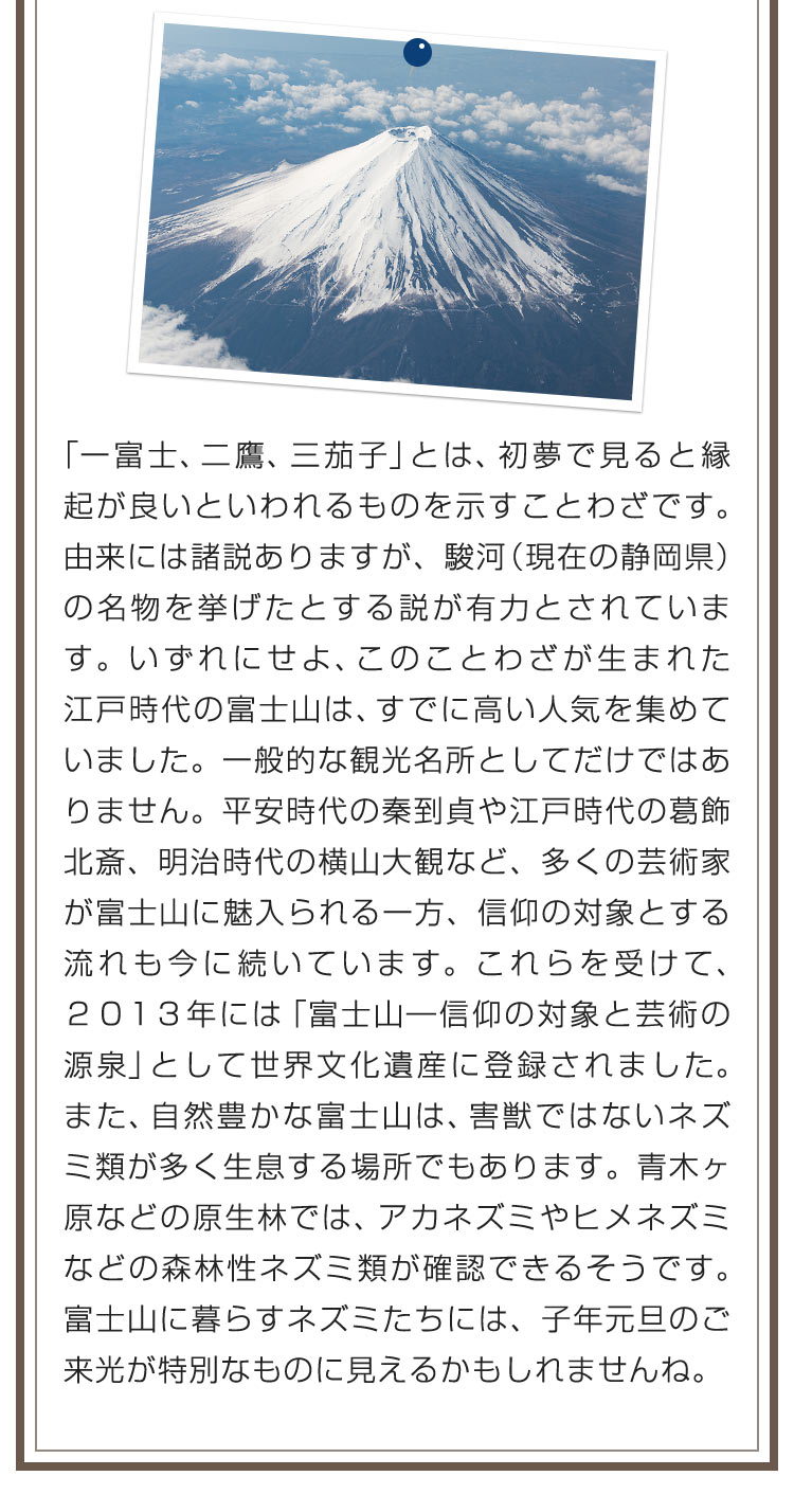 「一富士、二鷹、三茄子」とは、初夢で見ると縁起が良いといわれるものを示すことわざです。由来には諸説ありますが、駿河（現在の静岡県）の名物を挙げたとする説が有力とされています。いずれにせよ、このことわざが生まれた江戸時代の富士山は、すでに高い人気を集めていました。一般的な観光名所としてだけではありません。平安時代の秦到貞や江戸時代の葛飾北斎、明治時代の横山大観など、多くの芸術家が富士山に魅入られる一方、信仰の対象とする流れも今に続いています。これらを受けて、２０１３年には「富士山―信仰の対象と芸術の源泉」として世界文化遺産に登録されました。また、自然豊かな富士山は、害獣ではないネズミ類が多く生息する場所でもあります。青木ヶ原などの原生林では、アカネズミやヒメネズミなどの森林性ネズミ類が確認できるそうです。富士山に暮らすネズミたちには、子年元旦のご来光が特別なものに見えるかもしれませんね。