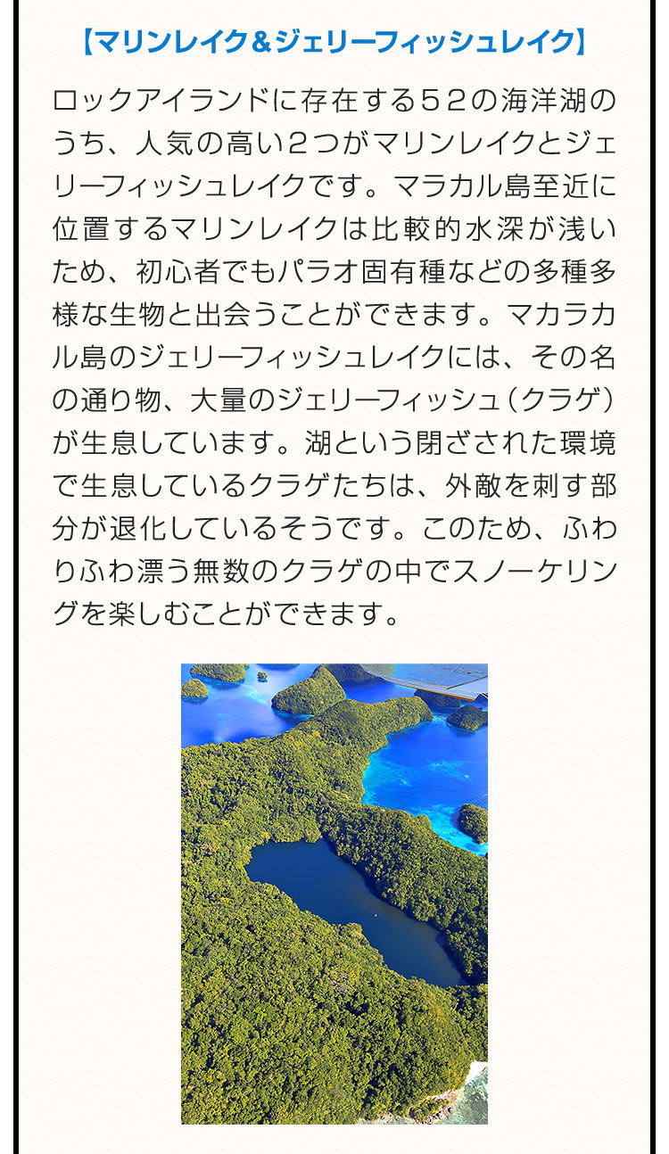 【マリンレイク＆ジェリーフィッシュレイク】ロックアイランドに存在する５２の海洋湖のうち、人気の高い２つがマリンレイクとジェリーフィッシュレイクです。マラカル島至近に位置するマリンレイクは比較的水深が浅いため、初心者でもパラオ固有種などの多種多様な生物と出会うことができます。マカラカル島のジェリーフィッシュレイクには、その名の通り物、大量のジェリーフィッシュ（クラゲ）が生息しています。湖という閉ざされた環境で生息しているクラゲたちは、外敵を刺す部分が退化しているそうです。このため、ふわりふわ漂う無数のクラゲの中でスノーケリングを楽しむことができます。