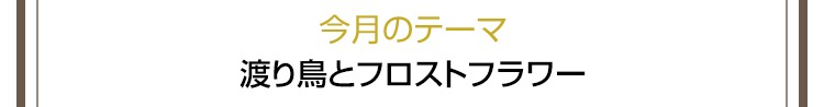 今月のテーマ 渡り鳥とフロストフラワー