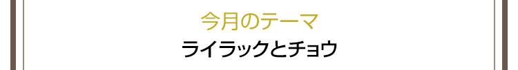 今月のテーマ：ライラックとチョウ