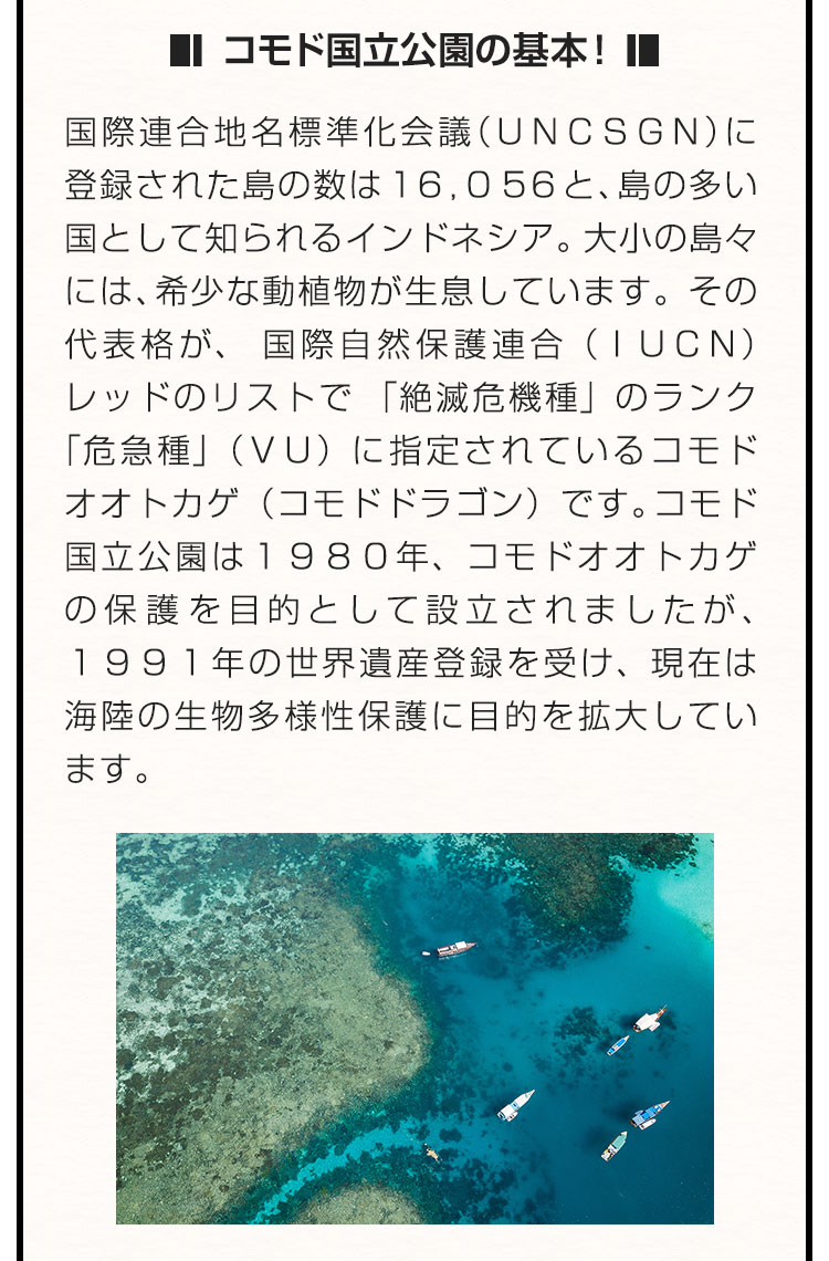 ■コモド国立公園の基本！■国際連合地名標準化会議（ＵＮＣＳＧＮ）に登録された島の数は１６，０５６と、島の多い国として知られるインドネシア。大小の島々には、希少な動植物が生息しています。その代表格が、国際自然保護連合（ＩＵＣＮ）レッドのリストで「絶滅危機種」のランク「危急種」（ＶＵ）に指定されているコモドオオトカゲ（コモドドラゴン）です。コモド国立公園は１９８０年、コモドオオトカゲの保護を目的として設立されましたが、１９９１年の世界遺産登録を受け、現在は海陸の生物多様性保護に目的を拡大しています。