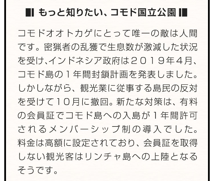 ■もっと知りたい、ロス・グラシアレス国立公園■コモドオオトカゲにとって唯一の敵は人間です。密猟者の乱獲で生息数が激減した状況を受け、インドネシア政府は２０１９年４月、コモド島の１年間封鎖計画を発表しました。しかしながら、観光業に従事する島民の反対を受けて１０月に撤回。新たな対策は、有料の会員証でコモド島への入島が１年間許可されるメンバーシップ制の導入でした。料金は高額に設定されており、会員証を取得しない観光客はリンチャ島への上陸となるそうです。