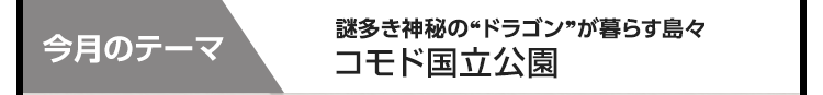 今月のテーマ：謎多き神秘の“ドラゴン”が暮らす島々 コモド国立公園