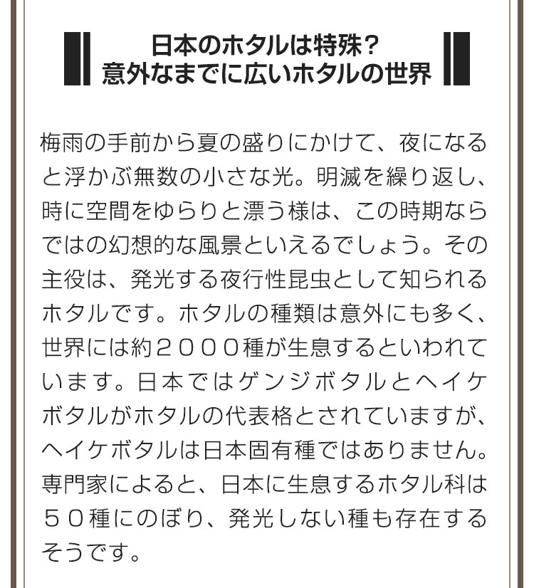 ■日本のホタルは特殊？意外なまでに広いホタルの世界■梅雨の手前から夏の盛りにかけて、夜になると浮かぶ無数の小さな光。明滅を繰り返し、時に空間をゆらりと漂う様は、この時期ならではの幻想的な風景といえるでしょう。その主役は、発光する夜行性昆虫として知られるホタルです。ホタルの種類は意外にも多く、世界には約２０００種が生息するといわれています。日本ではゲンジボタルとヘイケボタルがホタルの代表格とされていますが、ヘイケボタルは日本固有種ではありません。専門家によると、日本に生息するホタル科は５０種にのぼり、発光しない種も存在するそうです。