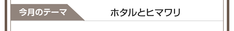 今月のテーマ：ホタルとヒマワリ