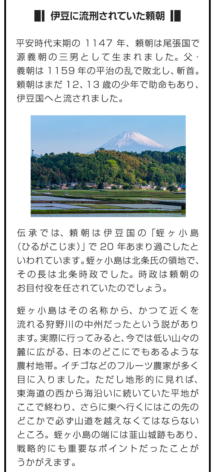 ■伊豆に流刑されていた頼朝■平安時代末期の1147年、頼朝は尾張国で源義朝の三男として生まれました。父・義朝は1159年の平治の乱で敗北し、斬首。頼朝はまだ12、13歳の少年で助命もあり、伊豆国へと流されました。　伝承では、頼朝は伊豆国の「蛭ヶ小島（ひるがこじま）」で20年あまり過ごしたといわれています。蛭ヶ小島は北条氏の領地で、その長は北条時政でした。時政は頼朝のお目付役を任されていたのでしょう。　蛭ヶ小島はその名称から、かつて近くを流れる狩野川の中州だったという説があります。実際に行ってみると、今では低い山々の麓に広がる、日本のどこにでもあるような農村地帯。イチゴなどのフルーツ農家が多く目に入りました。ただし地形的に見れば、東海道の西から海沿いに続いていた平地がここで終わり、さらに東へ行くにはこの先のどこかで必ず山道を越えなくてはならないところ。蛭ヶ小島の端には韮山城跡もあり、戦略的にも重要なポイントだったことがうかがえます。