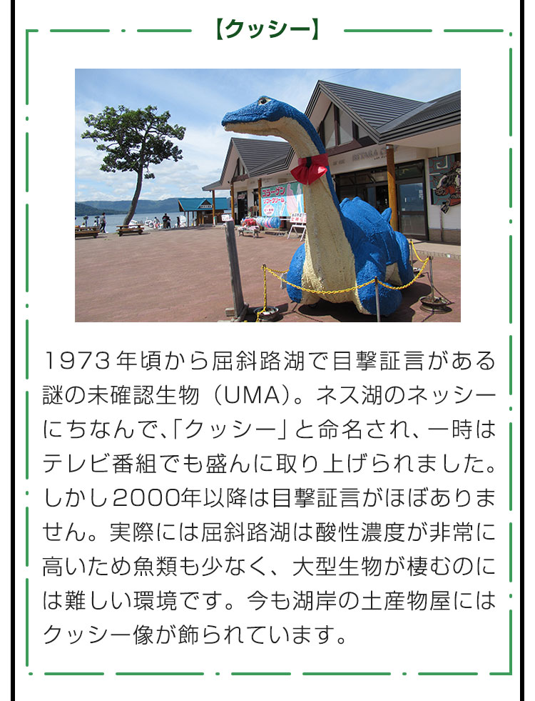 【クッシー】1973年頃から屈斜路湖で目撃証言がある謎の未確認生物（UMA）。ネス湖のネッシーにちなんで、「クッシー」と命名され、一時はテレビ番組でも盛んに取り上げられました。しかし2000年以降は目撃証言がほぼありません。実際には屈斜路湖は酸性濃度が非常に高いため魚類も少なく、大型生物が棲むのには難しい環境です。今も湖岸の土産物屋にはクッシー像が飾られています。