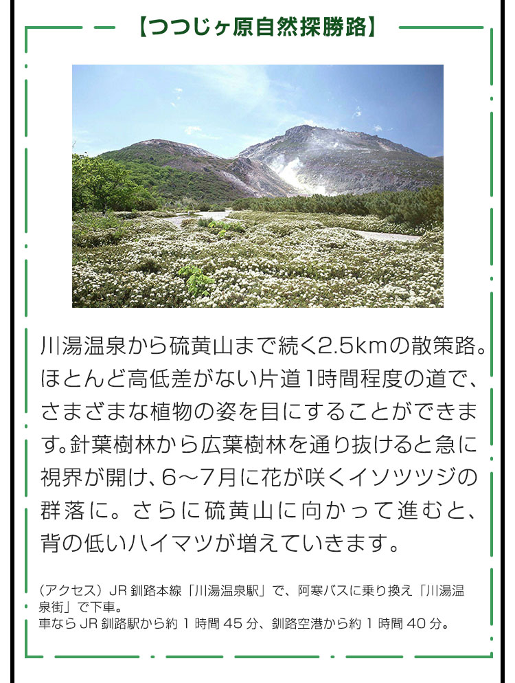 【つつじヶ原自然探勝路】川湯温泉から硫黄山まで続く2.5kmの散策路。ほとんど高低差がない片道1時間程度の道で、さまざまな植物の姿を目にすることができます。針葉樹林から広葉樹林を通り抜けると急に視界が開け、6〜7月に花が咲くイソツツジの群落に。さらに硫黄山に向かって進むと、背の低いハイマツが増えていきます。（アクセス）JR釧路本線「川湯温泉駅」で、阿寒バスに乗り換え「川湯温泉街」で下車。車ならJR釧路駅から約1時間45分、釧路空港から約1時間40分。