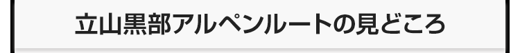 立山黒部アルペンルートの見どころ