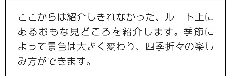 ここからは紹介しきれなかった、ルート上にあるおもな見どころを紹介します。季節によって景色は大きく変わり、四季折々の楽しみ方ができます。