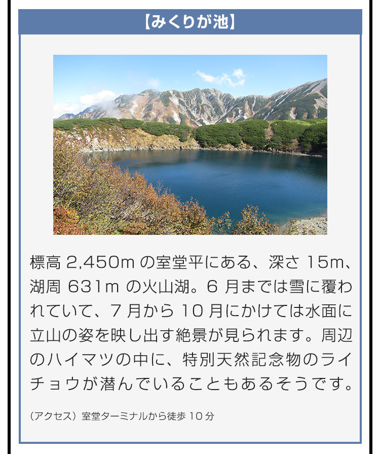 【みくりが池】標高2,450mの室堂平にある、深さ15m、湖周631mの火山湖。6月までは雪に覆われていて、7月から10月にかけては水面に立山の姿を映し出す絶景が見られます。周辺のハイマツの中に、特別天然記念物のライチョウが潜んでいることもあるそうです。（アクセス）室堂ターミナルから徒歩10分