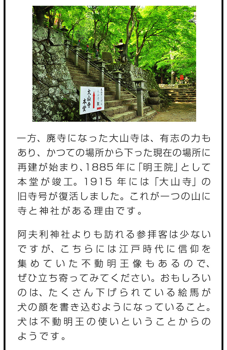 一方、廃寺になった大山寺は、有志の力もあり、かつての場所から下った現在の場所に再建が始まり、1885年に「明王院」として本堂が竣工。1915年には「大山寺」の旧寺号が復活しました。これが一つの山に寺と神社がある理由です。　阿夫利神社よりも訪れる参拝客は少ないですが、こちらには江戸時代に信仰を集めていた不動明王像もあるので、ぜひ立ち寄ってみてください。おもしろいのは、たくさん下げられている絵馬が犬の顔を書き込むようになっていること。犬は不動明王の使いということからのようです。