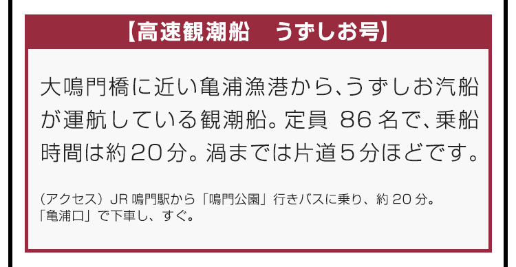 【高速観潮船　うずしお号】大鳴門橋に近い亀浦漁港から、うずしお汽船が運航している観潮船。定員86名で、乗船時間は約20分。渦までは片道5分ほどです。（アクセス）JR鳴門駅から「鳴門公園」行きバスに乗り、約20分。「亀浦口」で下車し、すぐ。