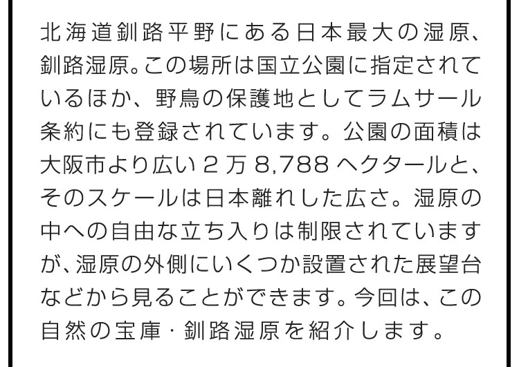 北海道釧路平野にある日本最大の湿原、釧路湿原。この場所は国立公園に指定されているほか、野鳥の保護地としてラムサール条約にも登録されています。公園の面積は大阪市より広い2万8,788ヘクタールと、そのスケールは日本離れした広さ。湿原の中への自由な立ち入りは制限されていますが、湿原の外側にいくつか設置された展望台などから見ることができます。今回は、この自然の宝庫・釧路湿原を紹介します。