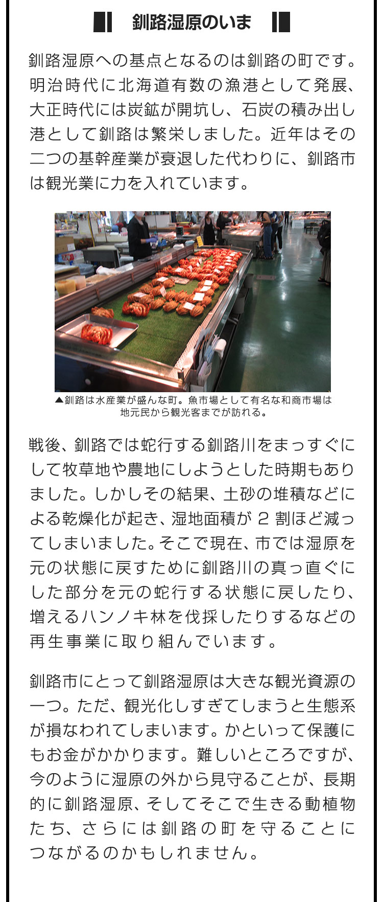 ■釧路湿原のいま■釧路湿原への基点となるのは釧路の町です。明治時代に北海道有数の漁港として発展、大正時代には炭鉱が開坑し、石炭の積み出し港として釧路は繁栄しました。近年はその二つの基幹産業が衰退した代わりに、釧路市は観光業に力を入れています。　戦後、釧路では蛇行する釧路川をまっすぐにして牧草地や農地にしようとした時期もありました。しかしその結果、土砂の堆積などによる乾燥化が起き、湿地面積が2割ほど減ってしまいました。そこで現在、市では湿原を元の状態に戻すために釧路川の真っ直ぐにした部分を元の蛇行する状態に戻したり、増えるハンノキ林を伐採したりするなどの再生事業に取り組んでいます。　釧路市にとって釧路湿原は大きな観光資源の一つ。ただ、観光化しすぎてしまうと生態系が損なわれてしまいます。かといって保護にもお金がかかります。難しいところですが、今のように湿原の外から見守ることが、長期的に釧路湿原、そしてそこで生きる動植物たち、さらには釧路の町を守ることにつながるのかもしれません。