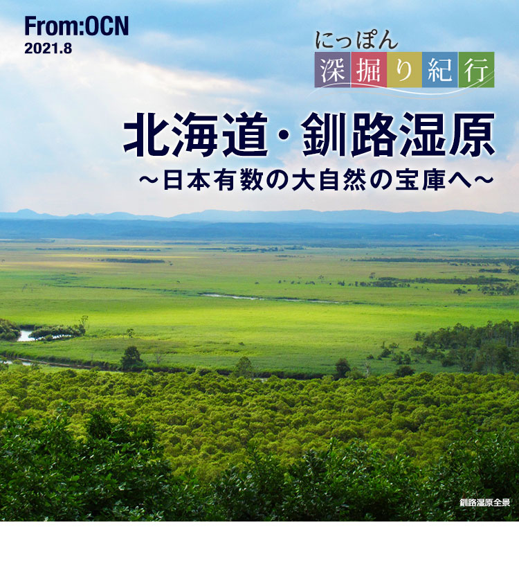From:OCN 2021.8　にっぽん深掘り紀行：北海道・釧路湿原　～日本有数の大自然の宝庫へ～