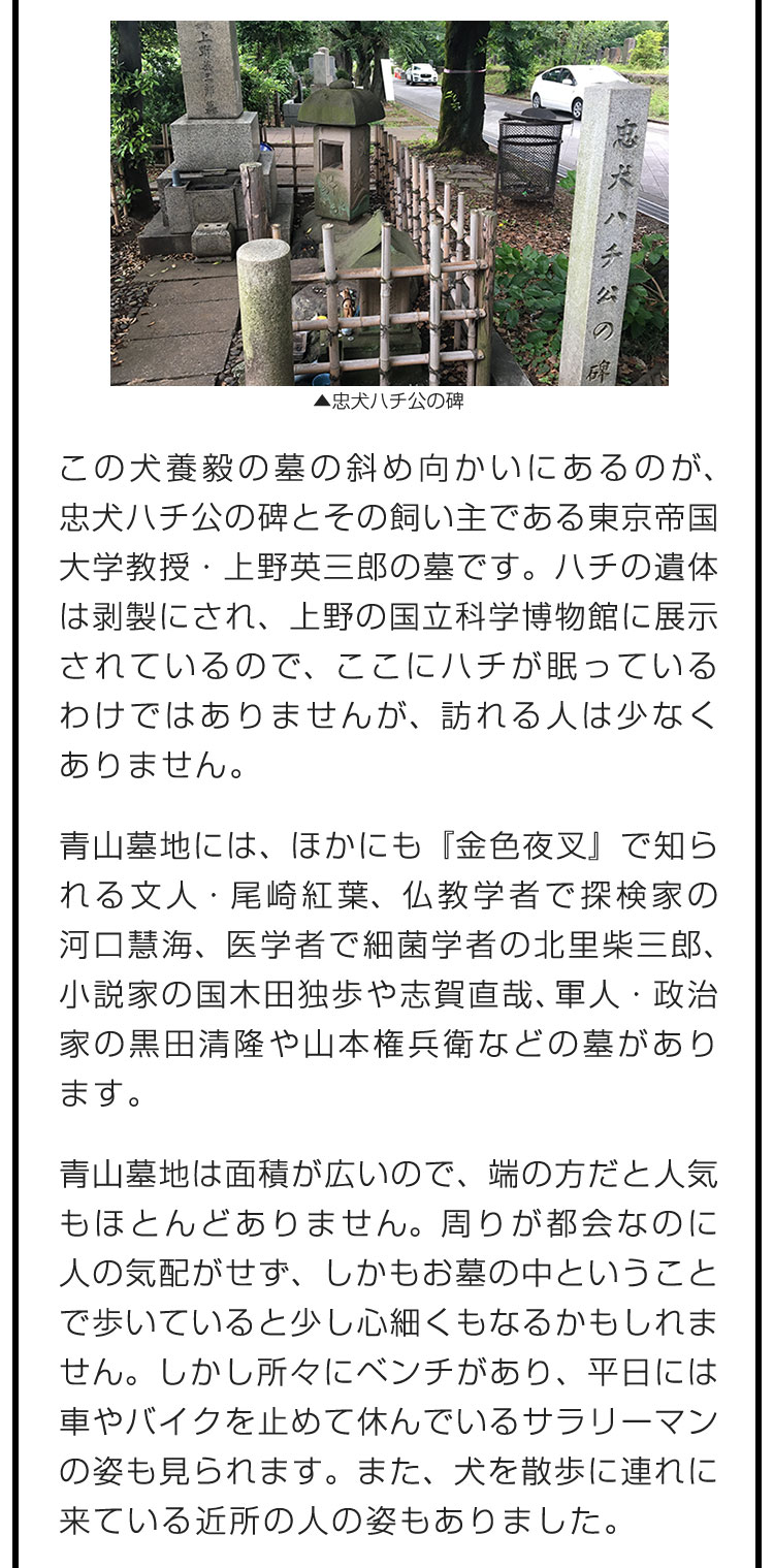 この犬養毅の墓の斜め向かいにあるのが、忠犬ハチ公の碑とその飼い主である東京帝国大学教授・上野英三郎の墓です。ハチの遺体は剥製にされ、上野の国立科学博物館に展示されているので、ここにハチが眠っているわけではありませんが、訪れる人は少なくありません。　青山墓地には、ほかにも『金色夜叉』で知られる文人・尾崎紅葉、仏教学者で探検家の河口慧海、医学者で細菌学者の北里柴三郎、小説家の国木田独歩や志賀直哉、軍人・政治家の黒田清隆や山本権兵衛などの墓があります。　青山墓地は面積が広いので、端の方だと人気もほとんどありません。周りが都会なのに人の気配がせず、しかもお墓の中ということで歩いていると少し心細くもなるかもしれません。しかし所々にベンチがあり、平日には車やバイクを止めて休んでいるサラリーマンの姿も見られます。また、犬を散歩に連れに来ている近所の人の姿もありました。