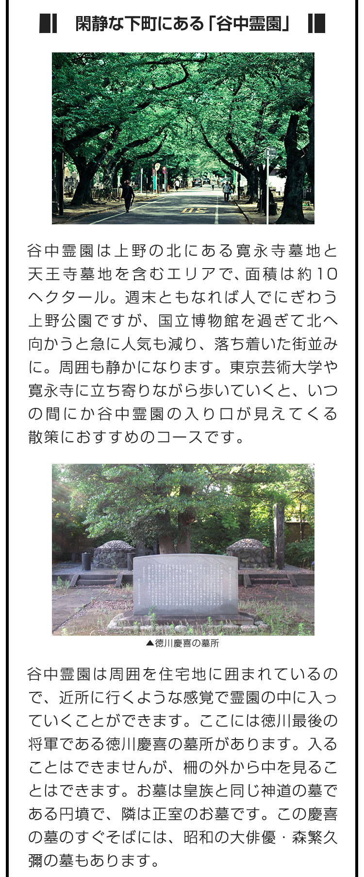 ■閑静な下町にある「谷中霊園」■谷中霊園は上野の北にある寛永寺墓地と天王寺墓地を含むエリアで、面積は約10ヘクタール。週末ともなれば人でにぎわう上野公園ですが、国立博物館を過ぎて北へ向かうと急に人気も減り、落ち着いた街並みに。周囲も静かになります。東京芸術大学や寛永寺に立ち寄りながら歩いていくと、いつの間にか谷中霊園の入り口が見えてくる散策におすすめのコースです。　谷中霊園は周囲を住宅地に囲まれているので、近所に行くような感覚で霊園の中に入っていくことができます。ここには徳川最後の将軍である徳川慶喜の墓所があります。入ることはできませんが、柵の外から中を見ることはできます。お墓は皇族と同じ神道の墓である円墳で、隣は正室のお墓です。この慶喜の墓のすぐそばには、昭和の大俳優・森繁久彌の墓もあります。