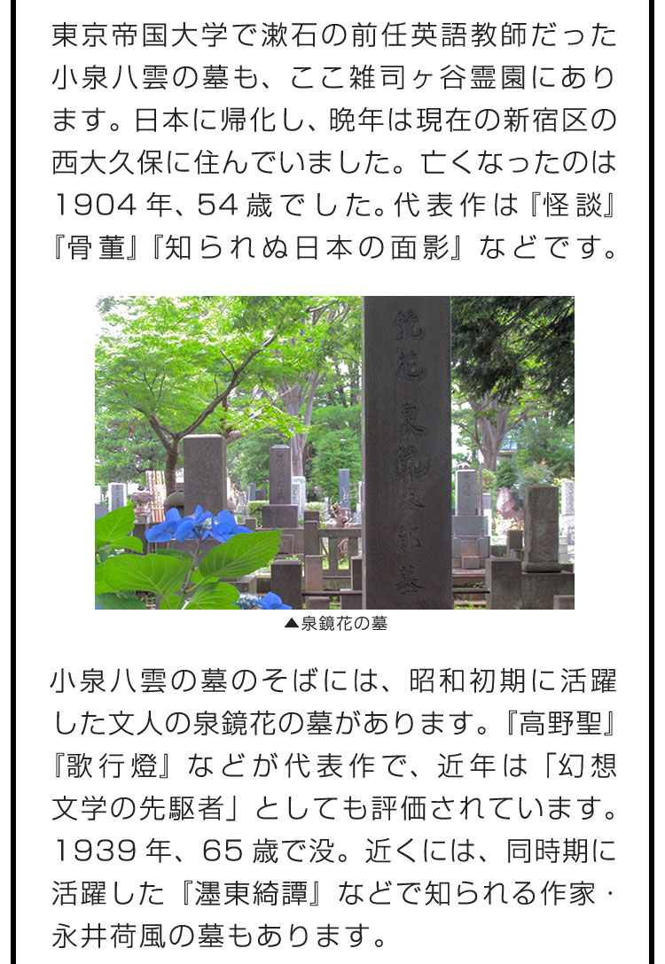 東京帝国大学で漱石の前任英語教師だった小泉八雲の墓も、ここ雑司ヶ谷霊園にあります。日本に帰化し、晩年は現在の新宿区の西大久保に住んでいました。亡くなったのは1904年、54歳でした。代表作は『怪談』『骨董』『知られぬ日本の面影』などです。　小泉八雲の墓のそばには、昭和初期に活躍した文人の泉鏡花の墓があります。『高野聖』『歌行燈』などが代表作で、近年は「幻想文学の先駆者」としても評価されています。1939年、65歳で没。近くには、同時期に活躍した『濹東綺譚』などで知られる作家・永井荷風の墓もあります。