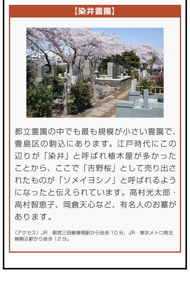 【染井霊園】都立霊園の中でも最も規模が小さい霊園で、豊島区の駒込にあります。江戸時代にこの辺りが「染井」と呼ばれ植木屋が多かったことから、ここで「吉野桜」として売り出されたものが「ソメイヨシノ」と呼ばれるようになったと伝えられています。高村光太郎・高村智恵子、岡倉天心など、有名人のお墓があります。（アクセス）JR・都営三田線巣鴨駅から徒歩10分、JR・東京メトロ南北線駒込駅から徒歩12分。