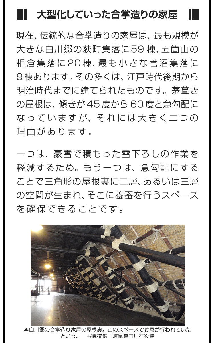 ■大型化していった合掌造りの家屋■現在、伝統的な合掌造りの家屋は、最も規模が大きな白川郷の荻町集落に59棟、五箇山の相倉集落に20棟、最も小さな菅沼集落に9棟あります。その多くは、江戸時代後期から明治時代までに建てられたものです。茅葺きの屋根は、傾きが45度から60度と急勾配になっていますが、それには大きく二つの理由があります。　一つは、豪雪で積もった雪下ろしの作業を軽減するため。もう一つは、急勾配にすることで三角形の屋根裏に二層、あるいは三層の空間が生まれ、そこに養蚕を行うスペースを確保できることです。