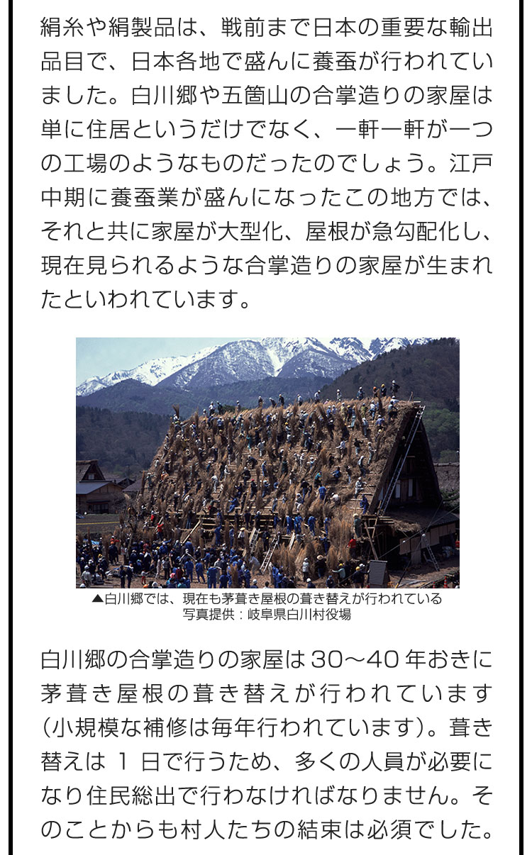 絹糸や絹製品は、戦前まで日本の重要な輸出品目で、日本各地で盛んに養蚕が行われていました。白川郷や五箇山の合掌造りの家屋は単に住居というだけでなく、一軒一軒が一つの工場のようなものだったのでしょう。江戸中期に養蚕業が盛んになったこの地方では、それと共に家屋が大型化、屋根が急勾配化し、現在見られるような合掌造りの家屋が生まれたといわれています。　白川郷の合掌造りの家屋は30〜40年おきに茅葺き屋根の葺き替えが行われています（小規模な補修は毎年行われています）。葺き替えは1日で行うため、多くの人員が必要になり住民総出で行わなければなりません。そのことからも村人たちの結束は必須でした。