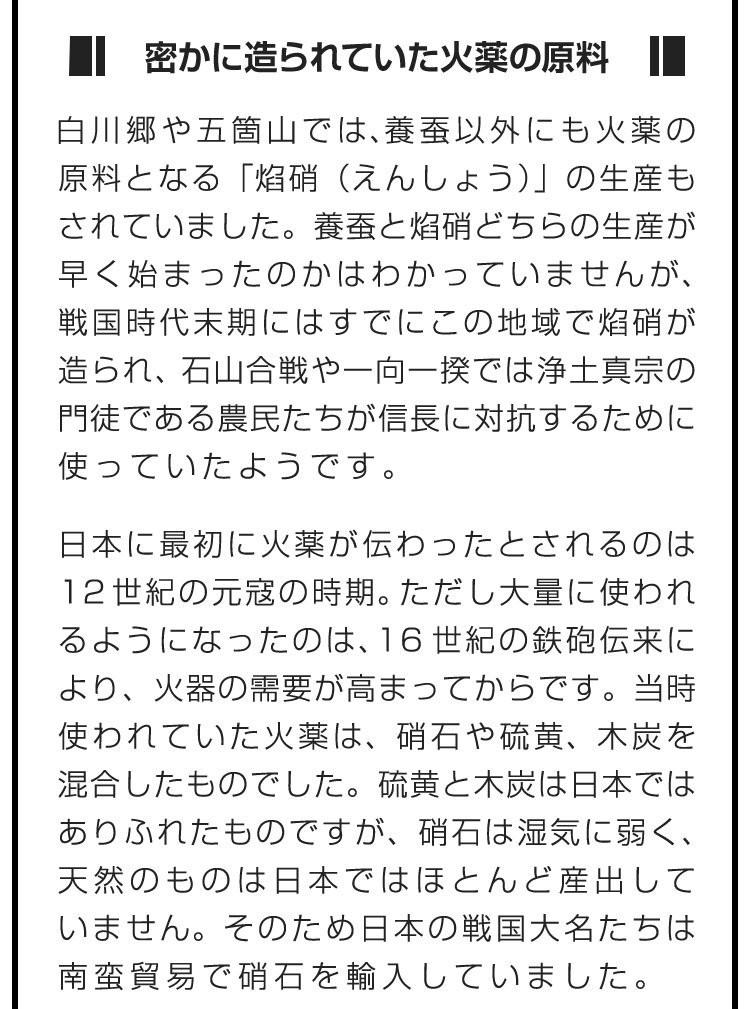 ■密かに造られていた火薬の原料■白川郷や五箇山では、養蚕以外にも火薬の原料となる「焰硝（えんしょう）」の生産もされていました。養蚕と焰硝どちらの生産が早く始まったのかはわかっていませんが、戦国時代末期にはすでにこの地域で焰硝が造られ、石山合戦や一向一揆では浄土真宗の門徒である農民たちが信長に対抗するために使っていたようです。　日本に最初に火薬が伝わったとされるのは12世紀の元寇の時期。ただし大量に使われるようになったのは、16世紀の鉄砲伝来により、火器の需要が高まってからです。当時使われていた火薬は、硝石や硫黄、木炭を混合したものでした。硫黄と木炭は日本ではありふれたものですが、硝石は湿気に弱く、天然のものは日本ではほとんど産出していません。そのため日本の戦国大名たちは南蛮貿易で硝石を輸入していました。