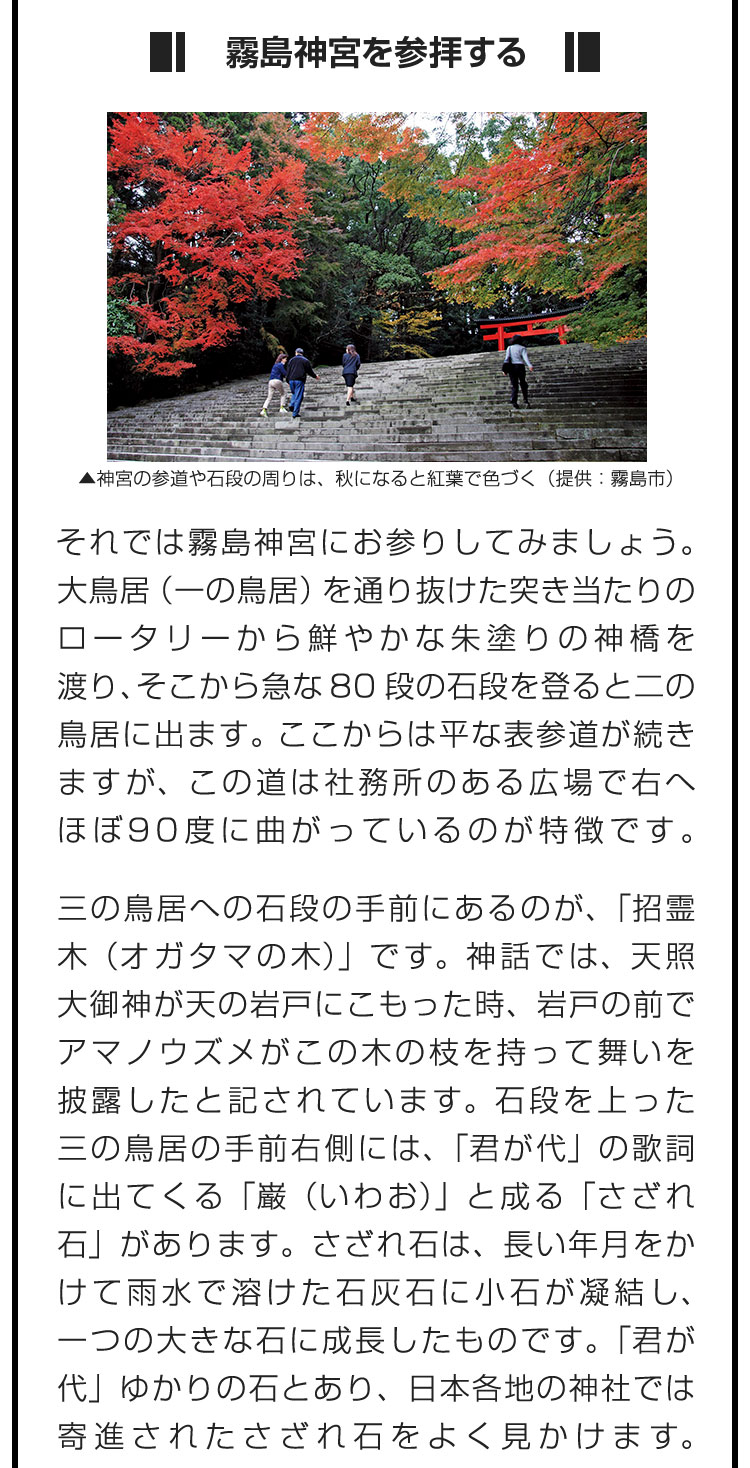 ■霧島神宮を参拝する■それでは霧島神宮にお参りしてみましょう。大鳥居（一の鳥居）を通り抜けた突き当たりのロータリーから鮮やかな朱塗りの神橋を渡り、そこから急な80段の石段を登ると二の鳥居に出ます。ここからは平な表参道が続きますが、この道は社務所のある広場で右へほぼ90度に曲がっているのが特徴です。　三の鳥居への石段の手前にあるのが、「招霊木（オガタマの木）」です。神話では、天照大御神が天の岩戸にこもった時、岩戸の前でアマノウズメがこの木の枝を持って舞いを披露したと記されています。石段を上った三の鳥居の手前右側には、「君が代」の歌詞に出てくる「巌（いわお）」と成る「さざれ石」があります。さざれ石は、長い年月をかけて雨水で溶けた石灰石に小石が凝結し、一つの大きな石に成長したものです。「君が代」ゆかりの石とあり、日本各地の神社では寄進されたさざれ石をよく見かけます。