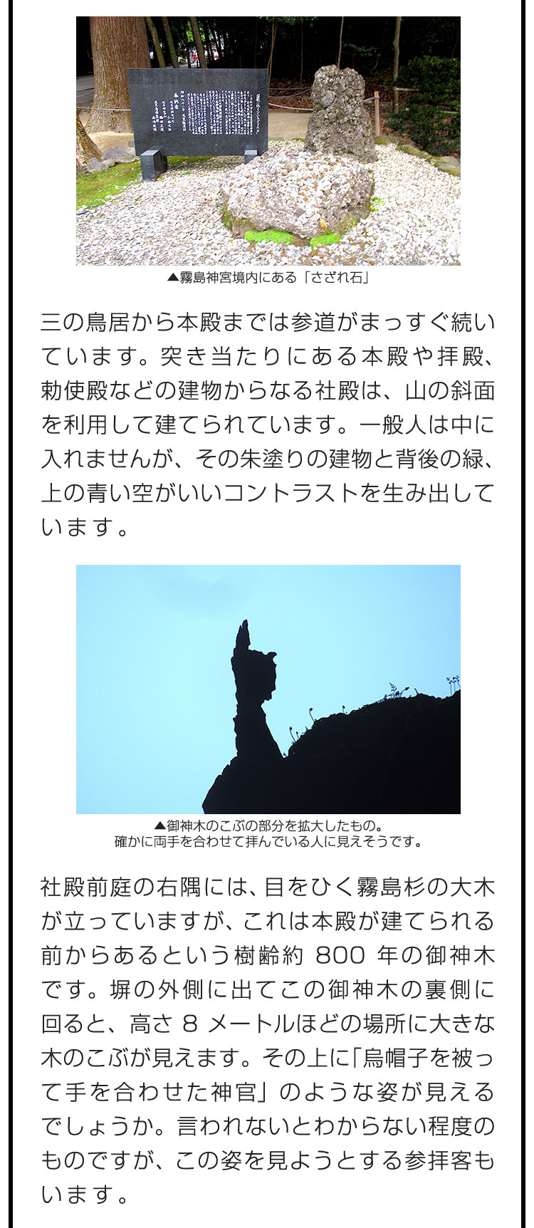 三の鳥居から本殿までは参道がまっすぐ続いています。突き当たりにある本殿や拝殿、勅使殿などの建物からなる社殿は、山の斜面を利用して建てられています。一般人は中に入れませんが、その朱塗りの建物と背後の緑、上の青い空がいいコントラストを生み出しています。　社殿前庭の右隅には、目をひく霧島杉の大木が立っていますが、これは本殿が建てられる前からあるという樹齢約800年の御神木です。塀の外側に出てこの御神木の裏側に回ると、高さ8メートルほどの場所に大きな木のこぶが見えます。その上に「烏帽子を被って手を合わせた神官」のような姿が見えるでしょうか。言われないとわからない程度のものですが、 この姿を見ようとする参拝客もいます。