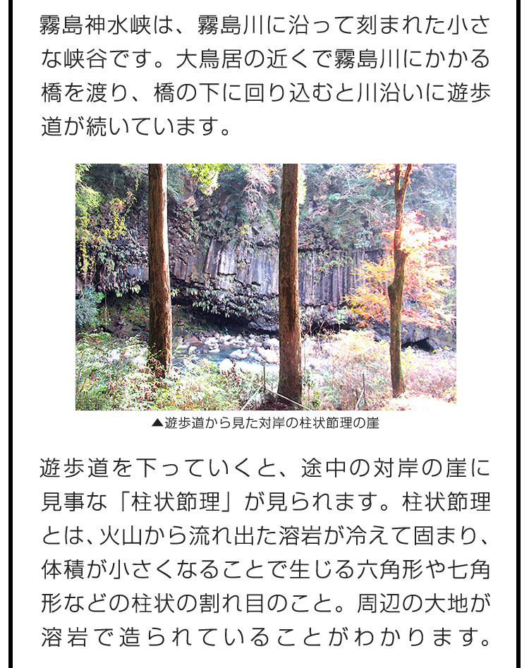 霧島神水峡は、霧島川に沿って刻まれた小さな峡谷です。大鳥居の近くで霧島川にかかる橋を渡り、橋の下に回り込むと川沿いに遊歩道が続いています。　遊歩道を下っていくと、途中の対岸の崖に見事な「柱状節理」が見られます。柱状節理とは、火山から流れ出た溶岩が冷えて固まり、体積が小さくなることで生じる六角形や七角形などの柱状の割れ目のこと。周辺の大地が溶岩で造られていることがわかります。