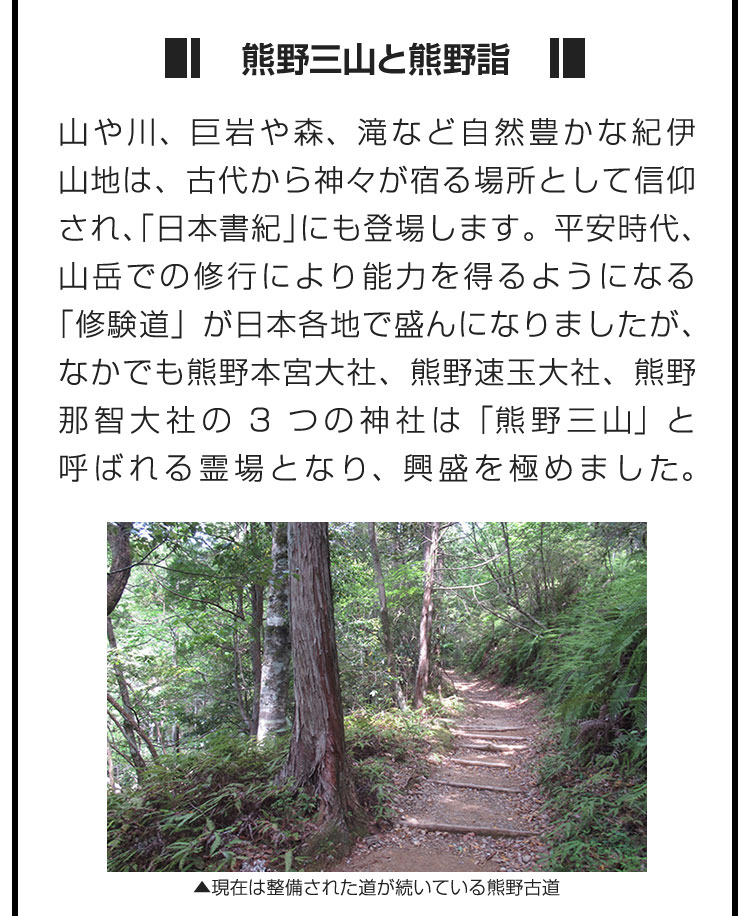 ■熊野三山と熊野詣■山や川、巨岩や森、滝など自然豊かな紀伊山地は、古代から神々が宿る場所として信仰され、「日本書紀」にも登場します。平安時代、山岳での修行により能力を得るようになる「修験道」が日本各地で盛んになりましたが、なかでも熊野本宮大社、熊野速玉大社、熊野那智大社の3つの神社は「熊野三山」と呼ばれる霊場となり、興盛を極めました。