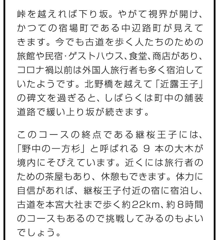 峠を越えれば下り坂。やがて視界が開け、かつての宿場町である中辺路町が見えてきます。今でも古道を歩く人たちのための旅館や民宿・ゲストハウス、食堂、商店があり、コロナ禍以前は外国人旅行者も多く宿泊していたようです。北野橋を越えて「近露王子」の碑文を過ぎると、しばらくは町中の舗装道路で緩い上り坂が続きます。　このコースの終点である継桜王子には、「野中の一方杉」と呼ばれる9本の大木が境内にそびえています。近くには旅行者のための茶屋もあり、休憩もできます。体力に自信があれば、継桜王子付近の宿に宿泊し、古道を本宮大社まで歩く約22km、約8時間のコースもあるので挑戦してみるのもよいでしょう。